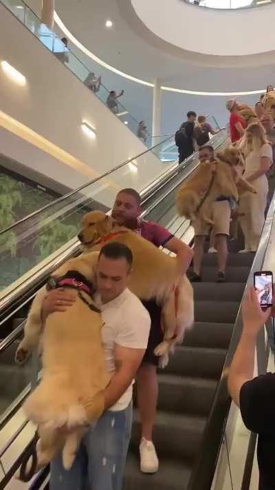 The Cutest Escalator in the World