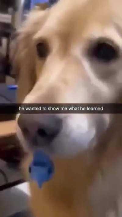 Very important video for you all