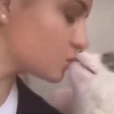 Котик пикапер