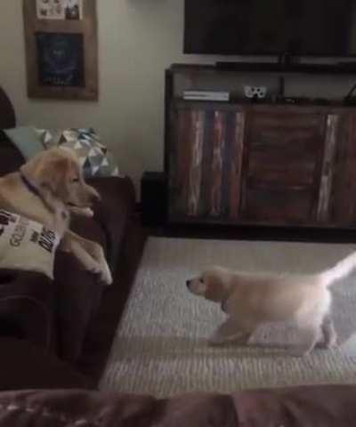 Horrifying surprise attack on parent