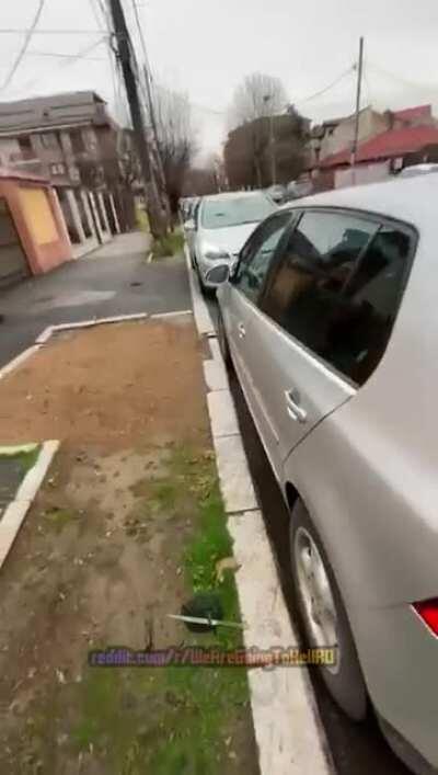 Provincialul si domeniul public