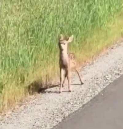 Damn, forgot my mask