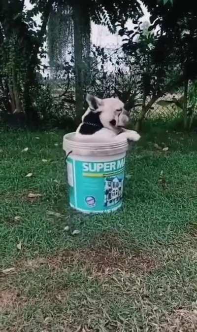 How many of us does it represent?