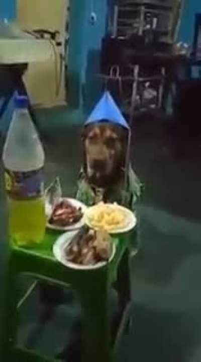 Unusual birthday party 😅