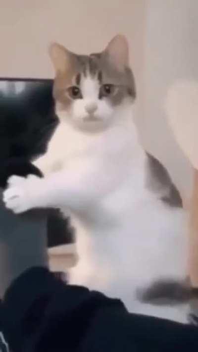 I don't know what she's trying do by that 😂😂😂😂😂.