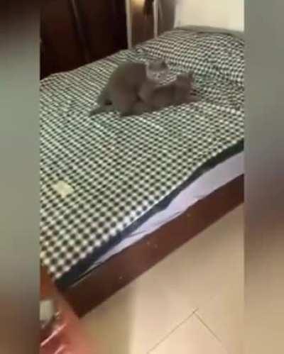 Стучаться надо!