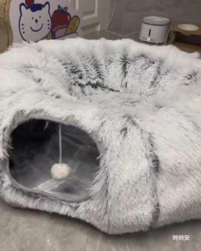 purrsonal hadron collider