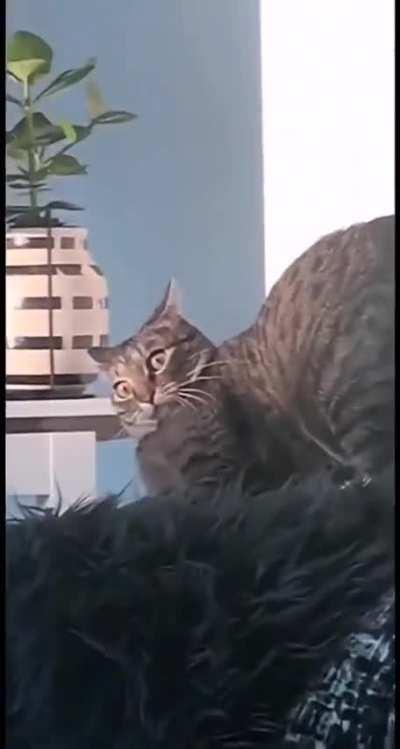 Nip... not even once