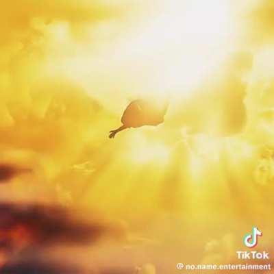 Where can I find this Version of Broken Road/Get lost