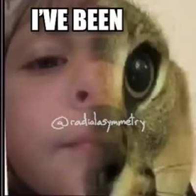 Floppa do be walkin' good tho :flushed: