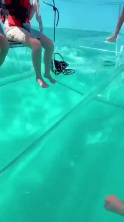 I would be terrified