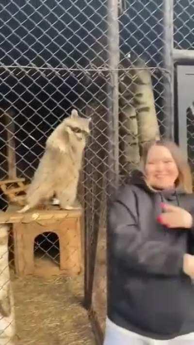 iyi akşamlar aga dansss vakti