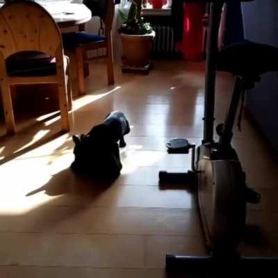 Time for a nice stretch...