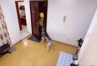 No way anyone is going to believe this story