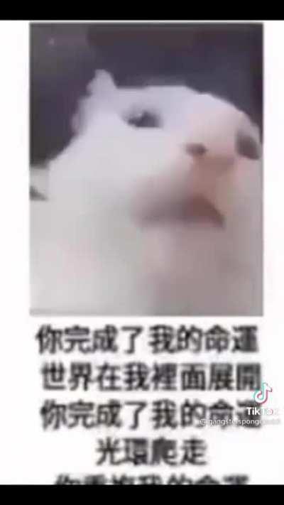 praise the communist party of china