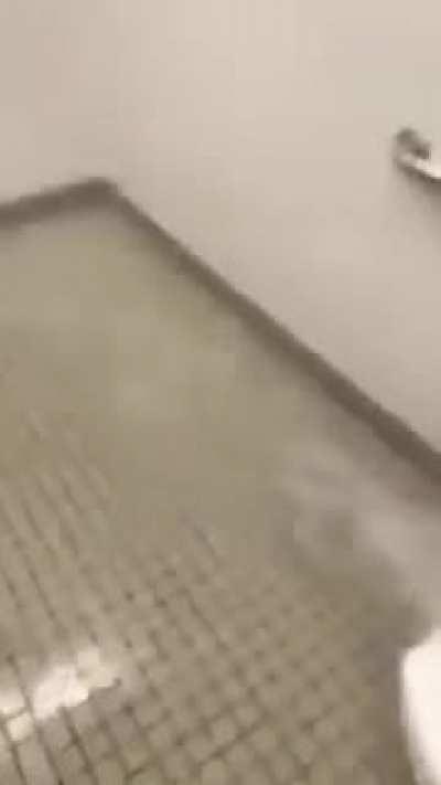 This seems off for some reason