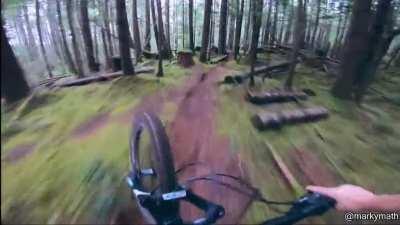 Zooming through the forest at top speeds