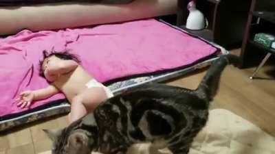 Went straight for the headshot