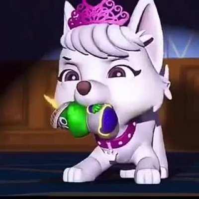 Paw Patrol is my 13th reason