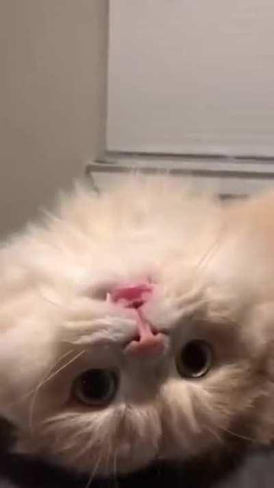 How was your first day at your new job? 🤐