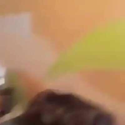 Secodns before disaster.