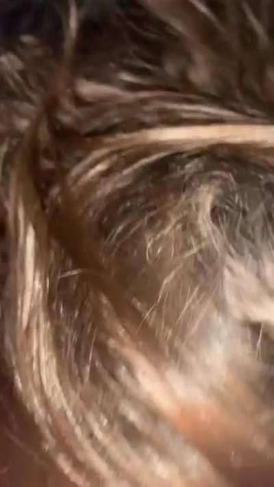 Cums all over me then I suck out the rest!