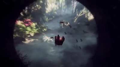 When will we learn? Neveeerrrr