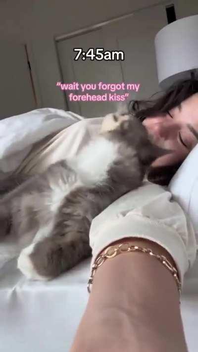 Kitty will never let you get out of bed