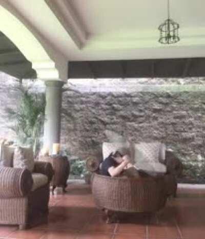 Why did she think that was a good idea lol