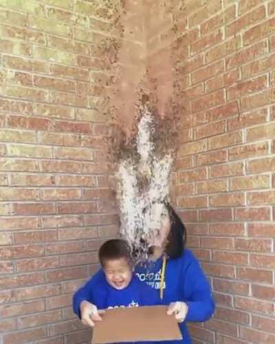 She makes art out of rice! Amazing!