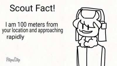 the boi got a fact for you