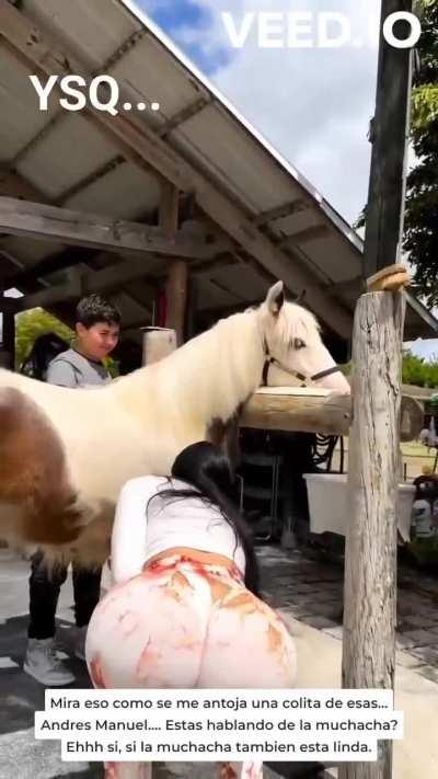 YSQ... A ver si adivinan...😂😂😂😂