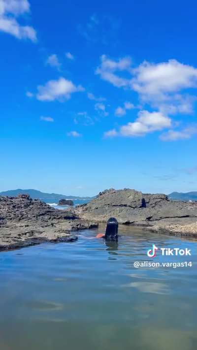 @alison.vargas14