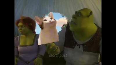 Podrías dejar de ser popcat por 5 minutos, solo por 5 minutos?!!!!