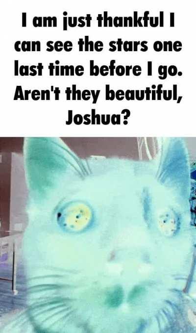 you can still hear me, right, joshua?