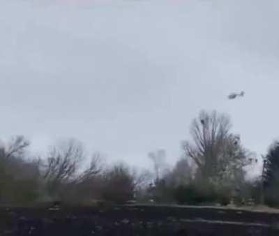 Who had horse drawn carriages on the their bingo cards?