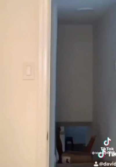 a series of stupid events lmao