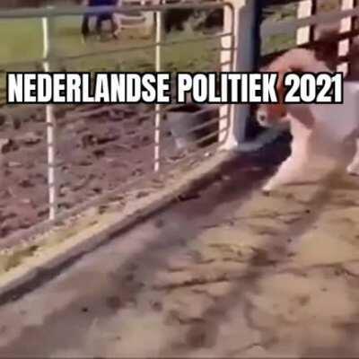 Ik🐎ihe
