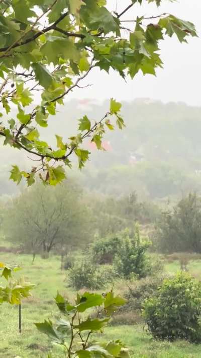 Ideal October afternoon