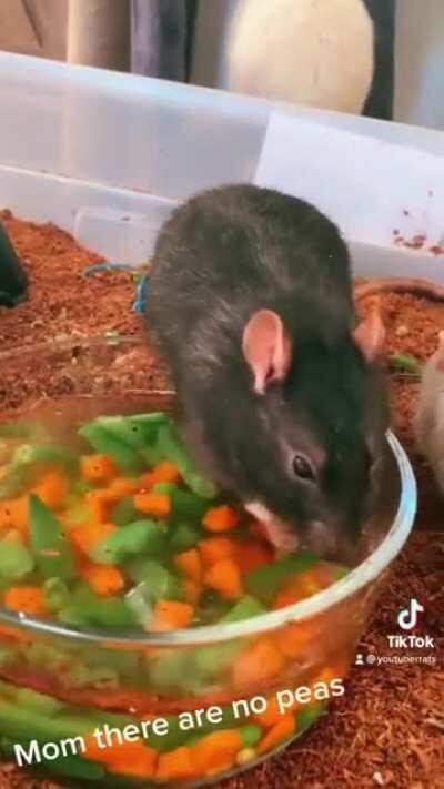 I tried to expand Jerma’s horizons but it didn’t work...