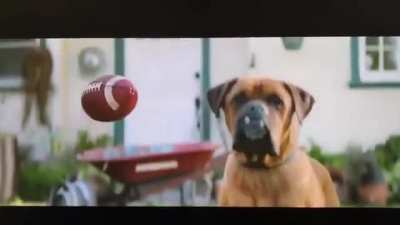 Which one of you fuckers works in the northrop marketing department