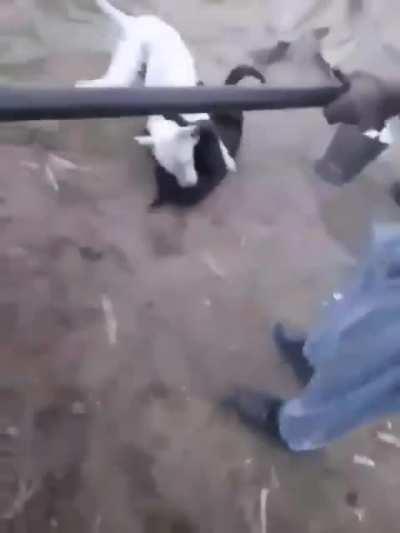 Выкручиваем пиздец на максимум!