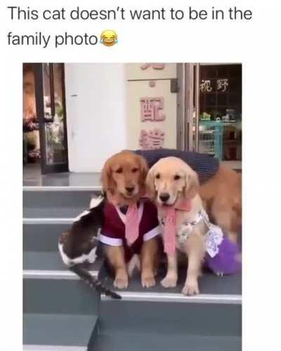 Sit right here, kitty