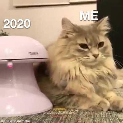 Buy this before the year gets any worse