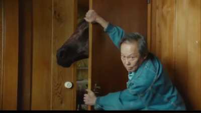 Salvatore Ganacci: Horse (Animal Abuse Clips)