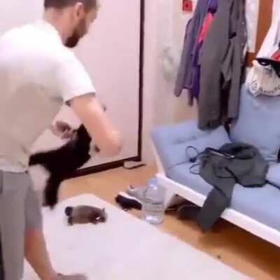 A man and his adorable pine marten