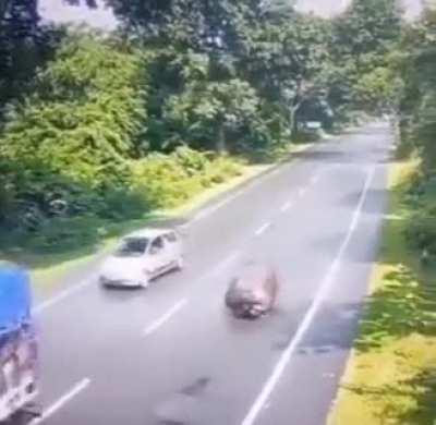 He Wont Do That Again: Rhino Thought He Could Take Out This Truck But He Was No Match!