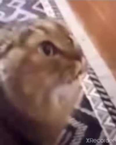 Me after my First French lesson