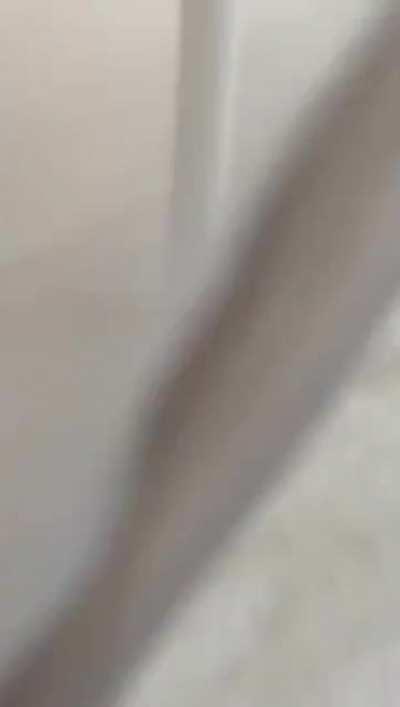 Let's store a warehouse of confiscated 