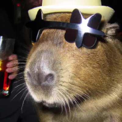 All images generated by DALL•E 2